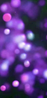 Purple bokeh wallpaper with vibrant orbs on dark background.