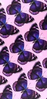 Purple butterflies on pink background mobile wallpaper.