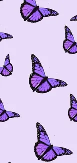 Lavender wallpaper with purple butterflies scattered across the screen.