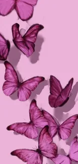 Purple butterflies pattern on pastel background.