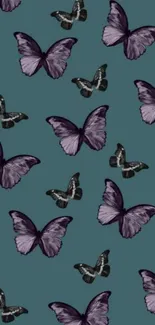 Mobile wallpaper with purple butterflies on teal background.