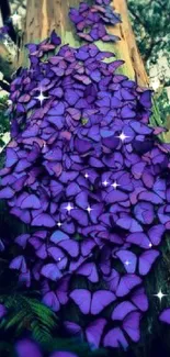 Purple butterflies covering a tree in a forest setting.