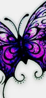 Purple butterfly with intricate black patterns on a white background.