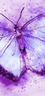 Purple butterfly with artistic design on lavender background.