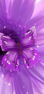 A vibrant purple butterfly on a floral background with sparkling stars.