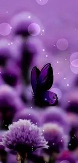 Purple butterfly rests on lavender flowers in a serene field.