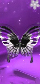 Purple butterfly with black and white accents on a vibrant purple background.