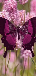 Purple butterfly amidst pink floral background.