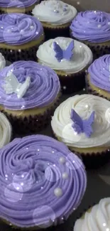 Cupcakes with purple and white frosting and butterfly decorations.