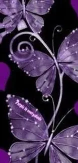 Vibrant purple butterfly design on a black background.