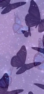 Purple butterflies flutter across a dreamy lavender background filled with stars.