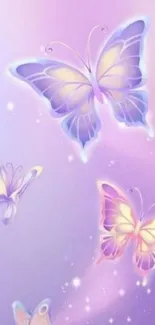 Lavender and purple butterfly wallpaper design with a dreamy aesthetic.