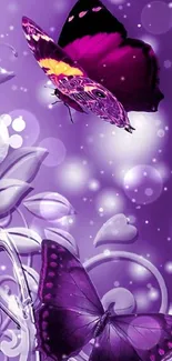 Purple butterflies with floral design wallpaper.