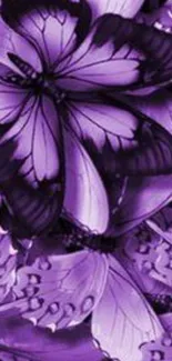 Purple butterfly pattern wallpaper with elegant design.