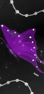 Elegant purple butterfly on black wallpaper.