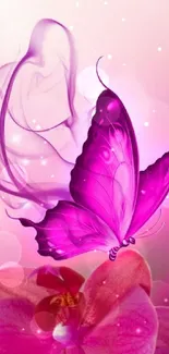 Purple butterfly and pink flowers wallpaper.