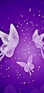 Enchanting purple wallpaper with butterflies