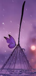 Purple butterfly on dewy umbrella with dreamy bokeh background.