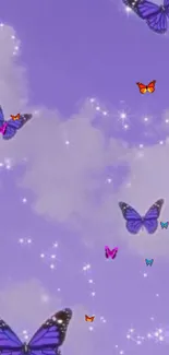 Purple butterflies and stars in dreamy sky wallpaper.