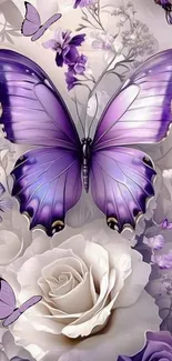 Purple butterfly with roses mobile wallpaper.