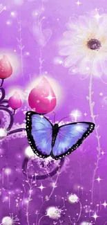 Purple butterfly with floral background.