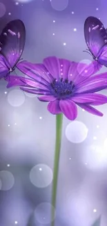 Purple flower with two butterflies on a serene background.