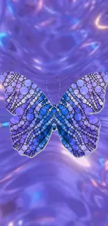 A purple butterfly with a jeweled design on a matching purple background.