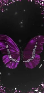 Purple glitter butterfly on black background.