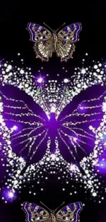 Glowing purple butterfly with artistic flair on dark background.