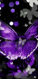 Purple butterfly wallpaper with glowing accents.