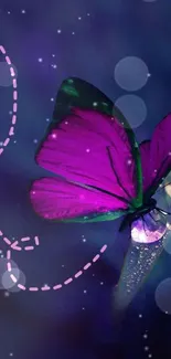 Purple butterfly on a dark background with a dotted line.