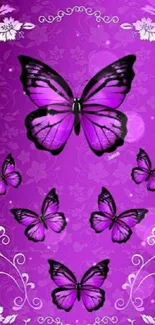 Purple butterfly wallpaper with floral patterns.