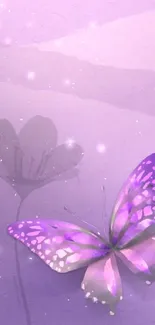 Purple butterfly on light purple floral background.