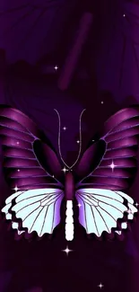 Dark purple butterfly wallpaper for mobile with elegant design.