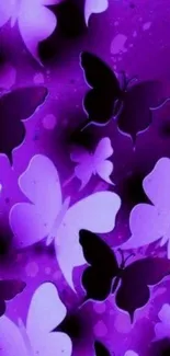 Purple butterfly wallpaper with fluttering butterflies.