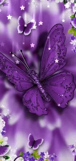 Purple butterfly on floral background with vibrant colors.