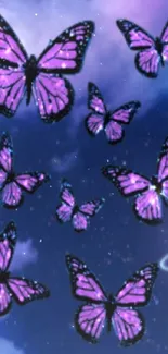 Purple butterflies flutter in a starry night sky.