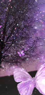 Purple butterflies flutter against a starry night sky backdrop.