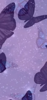 Purple butterflies in a starry night sky, perfect for dreamy phone background.