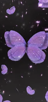 Purple butterflies sparkle on a dark background.