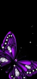 Purple butterfly on a black starry background wallpaper.