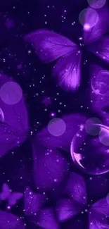 Purple nightscape with butterflies and stars.