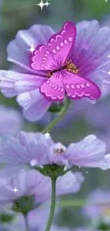 Pink butterfly on purple flower, serene nature wallpaper.