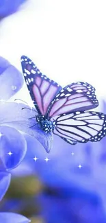 Purple butterfly resting on a vibrant blue flower, ideal for mobile wallpaper.