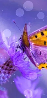 A vibrant purple butterfly rests on a flower against a purple background.