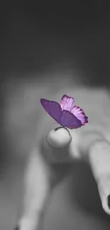 A vibrant purple butterfly rests on a monochrome hand in a minimalist wallpaper.