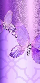 Purple butterfly wallpaper with elegant design.