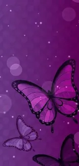 Purple butterfly wallpaper with elegant design.