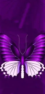 Purple butterfly design for mobile wallpaper.