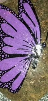 Purple butterfly painted on a natural rock.